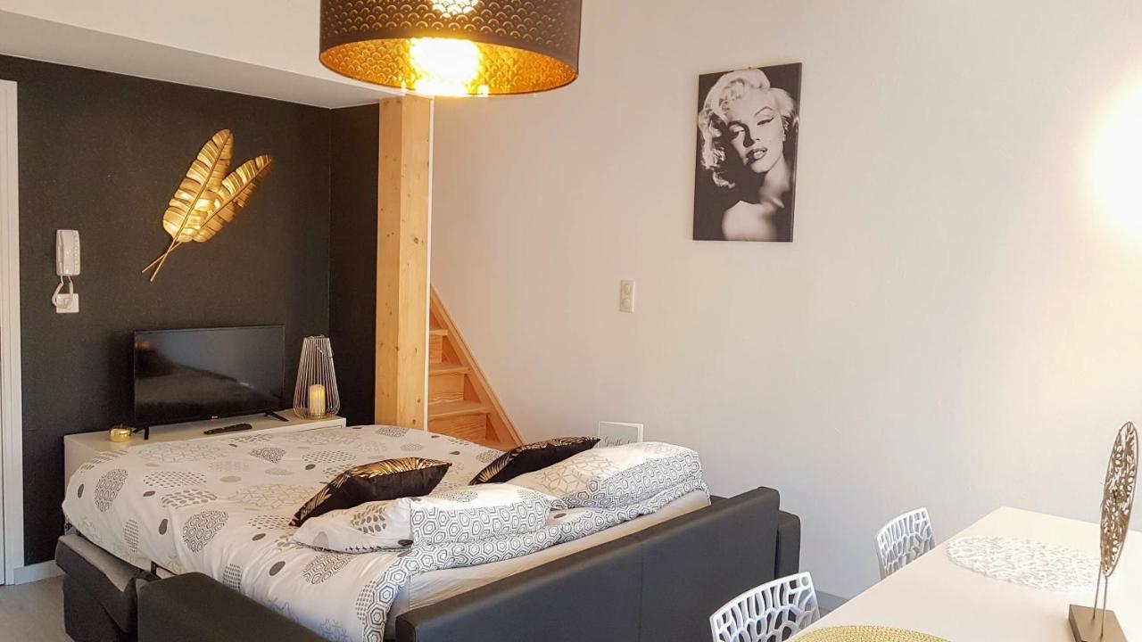 Les Nuits D'Anis - Appartements Hypercentre Le Puy-en-Velay Екстериор снимка