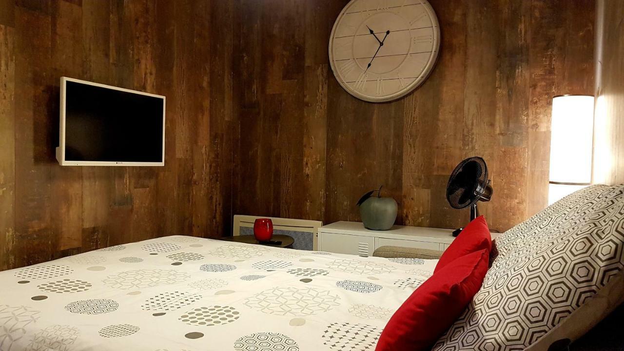 Les Nuits D'Anis - Appartements Hypercentre Le Puy-en-Velay Екстериор снимка