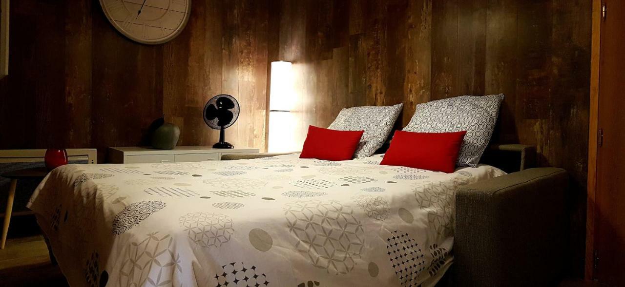 Les Nuits D'Anis - Appartements Hypercentre Le Puy-en-Velay Екстериор снимка